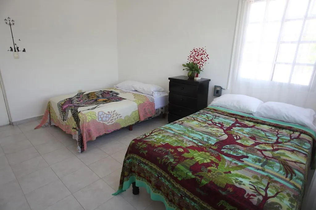 Nice Apartment Downtown كانكون